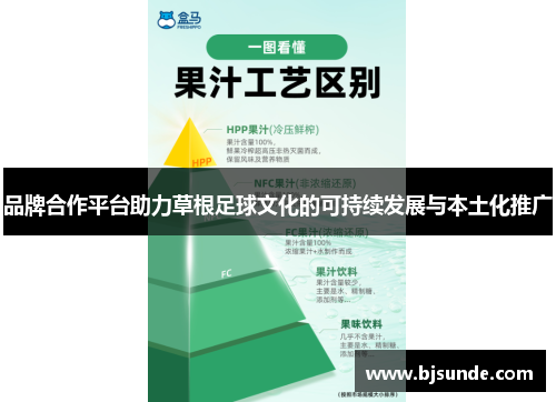 品牌合作平台助力草根足球文化的可持续发展与本土化推广