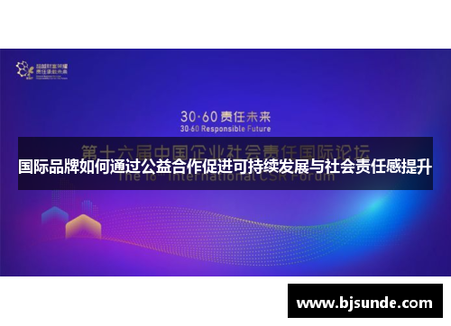 国际品牌如何通过公益合作促进可持续发展与社会责任感提升